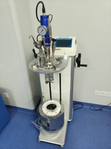 High-Temp Glass Reactor