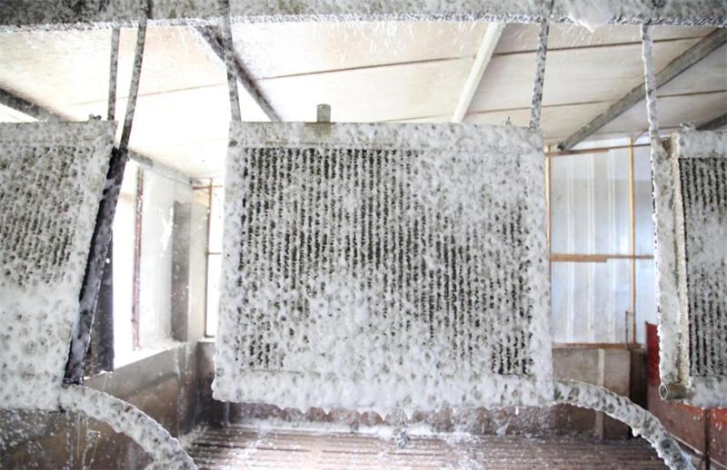 The application of foaming surfactants in disinfectants